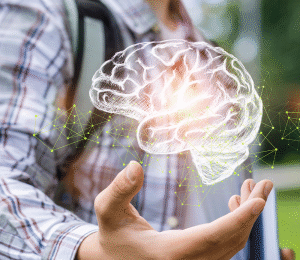 Development of the Teenage Brain